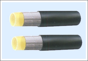 �w�S���������Љ���֬��